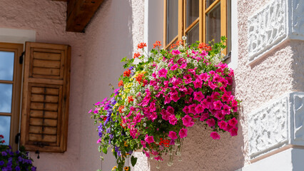 Traditional flowered window at the Alps and Dolomites. Colorful flowers of a windows of a traditional house. Summer time. Mix of flowers and colors. General contest of the European Alps