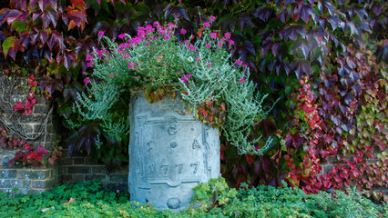 Old metal flowerpot, Wakehurst