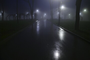 Winter night in the park