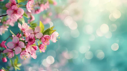 Fotobehang Cherry Blossoms: beautiful spring bokeh wallpaper in pink © Manuel