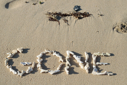 Concept for species extinction or consequences of climate change or Concept for legacy. English word "GONE" written with pieces of dead corals on a untidy sandy beach.