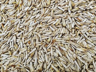 Sunflower seeds top view background. 