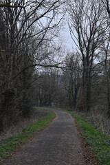 a walk along the the tarka trail next to Torrington