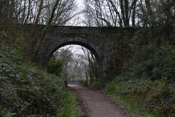 Fototapeta na wymiar a bridge that goes over the tarka trail between torrington and bideford