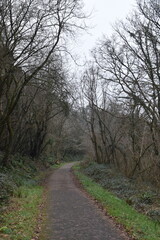 a walk along the the tarka trail next to Torrington