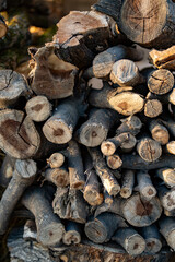 Warehouse with firewood from fruit tree wood