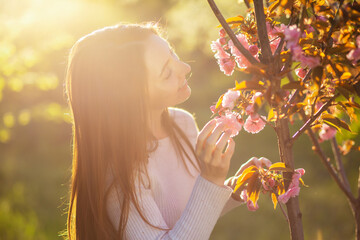 A girl with long hair smells a beautiful flower on a blooming cherry apple tree at sunset. The...