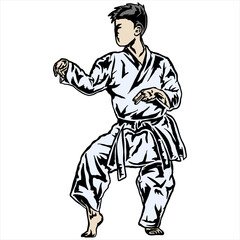 illustration vector karate technique pose logo icon full color