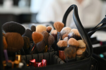 Close-up of Various professional make-up brushes in a handy bag