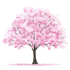 Vector watercolor blooming flower tree or forest side view isolated on white background for landscape and architecture drawing,elements for environment or and garden,Sakura tree for section ,Set of fl