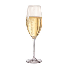 glass of champagne, white wine, isolated on transparent background - obrazy, fototapety, plakaty