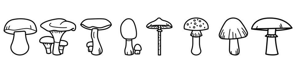 Mushroom vector icon set. fungus illustration sign collection. food symbol. - obrazy, fototapety, plakaty