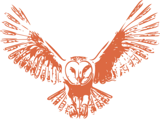 Poster brown vector of barn owl flying © alex