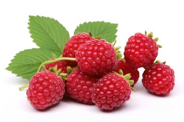 Tayberry on white background.
