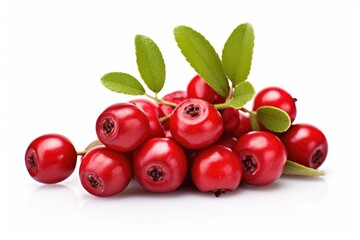 Lingonberry on white background.