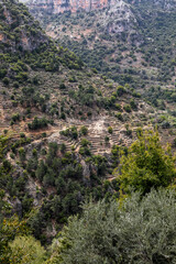 Highland over Qadisha Valley, Northern Lebanon
