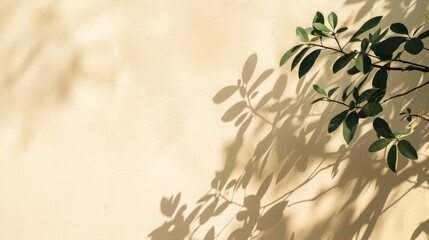 Soft sunlight casts a tranquil shadow of a plant on a smooth soft beige wall, creating a minimalist aesthetic