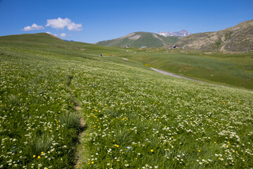 Le plateau d'Emparis est un plateau situ&eacute; &agrave; plus de 2 000 m d'altitude sur les d&eacute;partements de l'Is&egrave;re et des Hautes-Alpes. Appartenant au massif des Arves dans les Alpes fran&ccedil;aises, face aux Ecrins