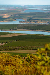 Planta&ccedil;&otilde;es pr&oacute;ximas ao Rio Sapuca&iacute;