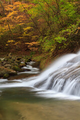 秋の色に染まる熊のすべり台