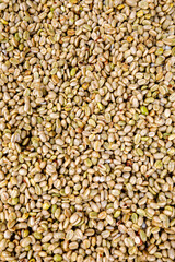 Abakundakawa coffee grower's cooperative, Minazi coffee washing station, Gakenke district, Rwanda