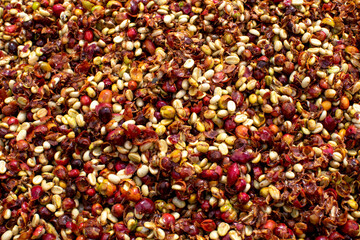 Abakundakawa coffee grower's cooperative, Minazi coffee washing station, Gakenke district, Rwanda