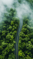 Aerial view of asphalt road highway along green mystery forest with fog. Travel concept. Generative AI