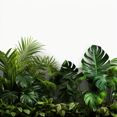 Realistic palm leaves shrubs corner on transparent backgrounds 3d rendering. Background for design. Postcard. Congratulations. Web banner. Wide. Panoramic.with space to copy text.