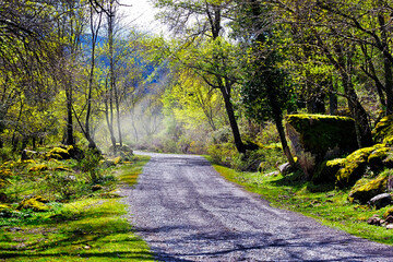Carretera en el Valle de Iruelas