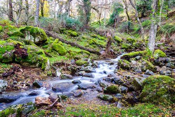Rio Iruelas entre rocas con musgo