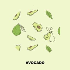 Sketch drawing banner of avocado, outline avocado and half, sliced fruit and seed. Vector illustration can used for wrapping paper, banner and cover design. 