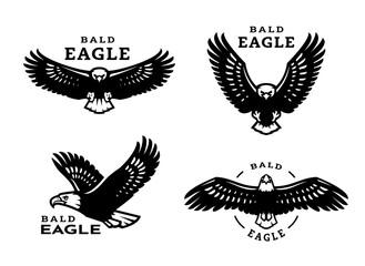 A set of bald eagles.