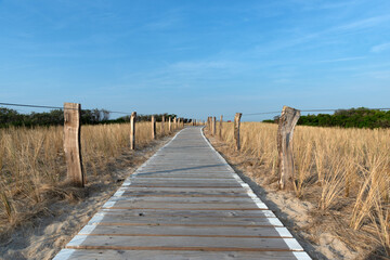 Obraz premium Holzpfad für Wanderer an der Nordseeinsel Langeoog