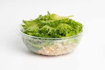 Green salad with wheat seedlings and micro greenary. Vegetarian and diet concept