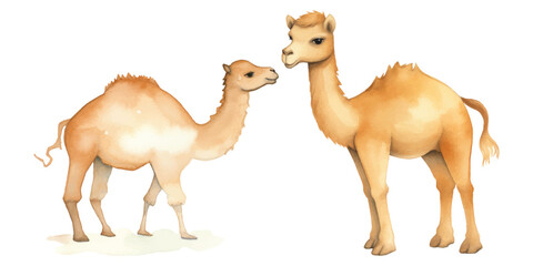 cute camel vector watercolor illustration