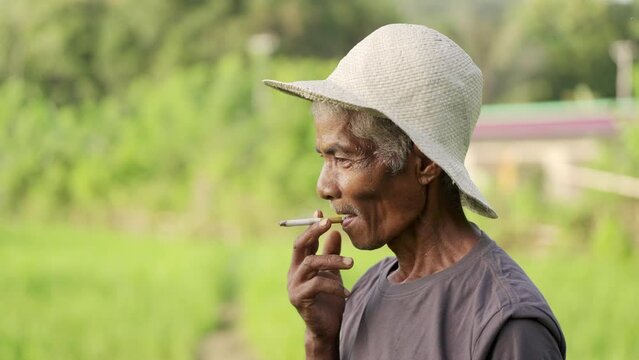 Traditional farmer smoking in rural setting on farm, rural health and cultural lifestyle
