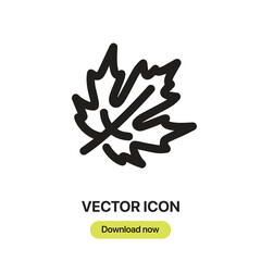 Maple Leaf icon vector. Linear-style sign for mobile concept and web design. Maple Leaf symbol illustration. Pixel vector graphics - Vector.	