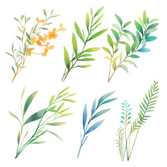 Obraz premium set of beautiful watercolour foliage and twigs