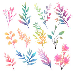 set of colourful isolated watercolour leaves and flowers