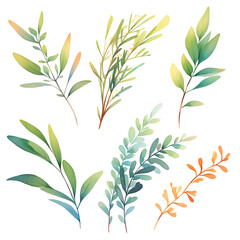 Fototapeta premium set of some isolated watercolour leaves and twigs