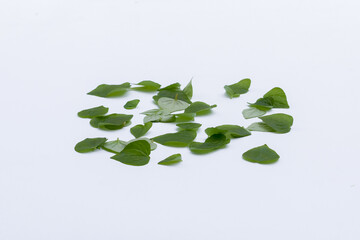 Chinese betel leaf white background, Chinese betel leaf is a wild plant that can be eaten and used as an alternative herbal medicine