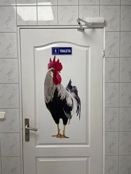 R&oacute;żnorodne oznaczenia toalet na świecie