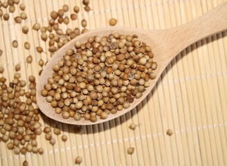 Coriander seeds in a spoon 