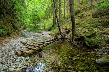 Waterfall with ladder in canyon, sucha bela in Slovak Paradise, Slovensky Raj National Park, Slovakia. Discover spring hiking - obrazy, fototapety, plakaty