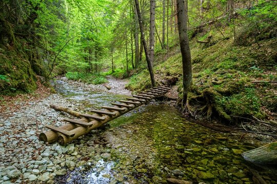 Waterfall with ladder in canyon, sucha bela in Slovak Paradise, Slovensky Raj National Park, Slovakia. Discover spring hiking