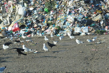 Garbage storage station