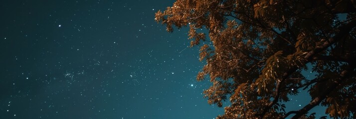 Low view of the stars in the sky at night