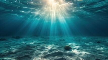 Fototapeta premium Fascinating sunlight beneath the surface of the ocean