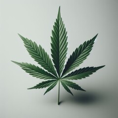cannabis marijuana leaf background