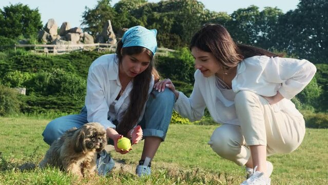 Joyful sisters enjoy playing with puppy in city park on summer weekend. Young women engage in fetch game throwing ball for dog